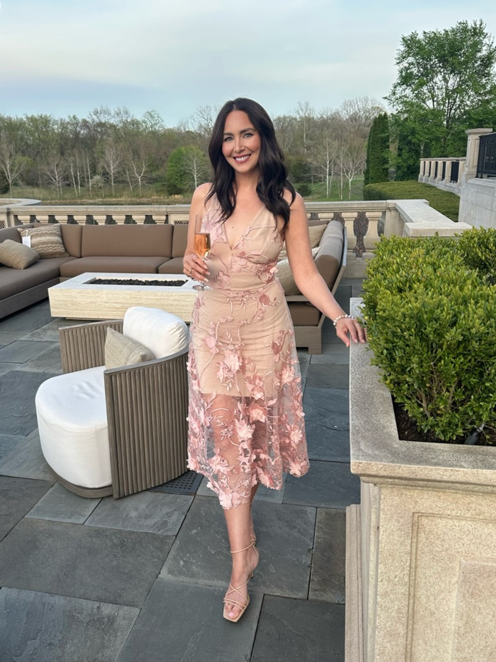 Dress the Population Audrey Embroidered Fit & Flare Dress - Picture 5 of 5